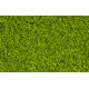 Реалістична світло-зелена імітація листя Heki 15150