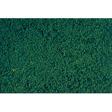 Імітація листя сосна зелена Heki 1603