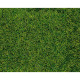 Трав'яне покриття "Дика трава" Heki 1573