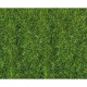 Трав'яне покриття "Дика трава" темно-зелена Heki 1577