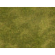 Міні-килимки трави "Натуральний луг" Noch 07472