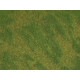 Міні-килимки трави "Верес" Noch 07473