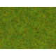 Імітація трав'яного покриття "Весняний луг" NOCH 50210