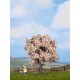 Фруктове дерево (цвітіння) Noch 21570