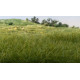 Статична трава середньо-зелена Woodland Scenics FS622