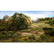 Статична трава світло-зелена Woodland Scenics FS627